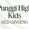 PUNGGI HIGH KIDS