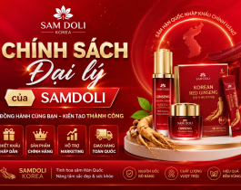 Chính Sách Đại Lý SamDoLi