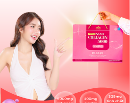 Hướng Dẫn Kiểm Tra Giấy Tờ Thuế, Công Bố Chất Lượng Chuẩn Nhập Khẩu 2025