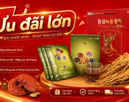 Giới Thiệu SamDoLi
