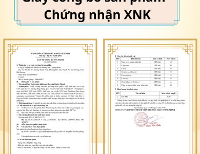 Bổ gan giải rượu well bio 10 chai x 100ml (Thùng 10 hộp)