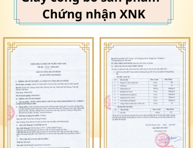 Đông Trùng Hạ Thảo Dodampos CM Cordy 9