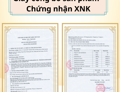 Tinh Chất Sâm Núi Dodampos CM 110 Năm Tuổi