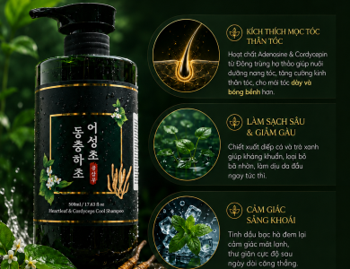 Dầu Gội Đông Trùng Hạ Thảo Diếp Cá Nature Beauty 500ml ( thùng 30 chai)