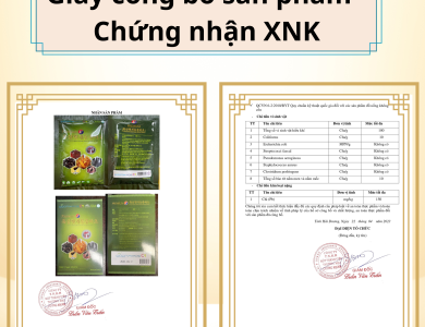 Bổ Gan Hắc Sâm Đông Trùng Hạ Thảo A+ Dodampos CM
