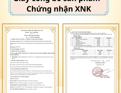 Hồng Sâm Lát Tẩm Mật Ong Dodampos CM