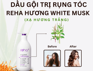 Dầu gội trị rụng tóc Reha xạ hương 500ml (Thùng 20 chai)