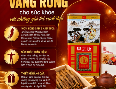 HỒNG SÂM CỦ KHÔ 300G HỘP THIẾC HG BIO