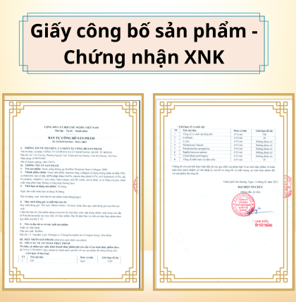 Nước uống premium nano collagen queenbe 5000MG