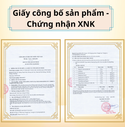 Đông Trùng Hạ Thảo Dodampos CM Cordy 9