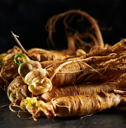 sâm Hàn Quốc cao cấp ( 20 - 30 củ 1kg )
