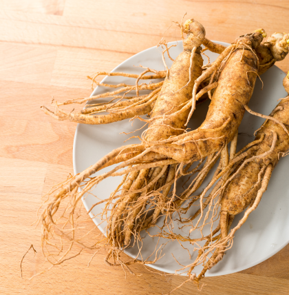 Sâm tươi Hàn Quốc cao cấp ( 6 củ 1kg ) 