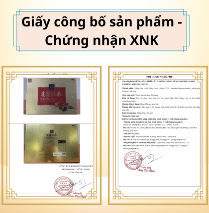 Hồng Sâm Lát Tẩm Mật Ong Dodampos CM