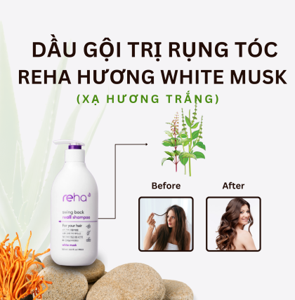 Dầu gội trị rụng tóc Reha xạ hương 500ml (Thùng 20 chai)