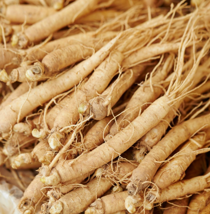 sâm Hàn Quốc cao cấp ( 20 - 30 củ 1kg )