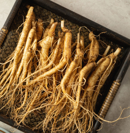 Sâm tươi cao cấp Hàn Quốc ( 10 củ 1kg ) 