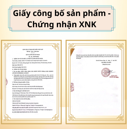 Nước hồng sâm linh chi nhung hươu 30 gói x 70ml (Thùng 6 hộp)