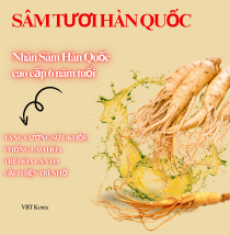 Sâm tươi hàn quốc cao cấp 6 năm tuổi